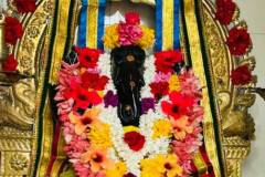 WhatsApp-Image-2026-10-14-at-13.24.24