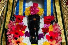 WhatsApp-Image-2026-10-14-at-13.24.25